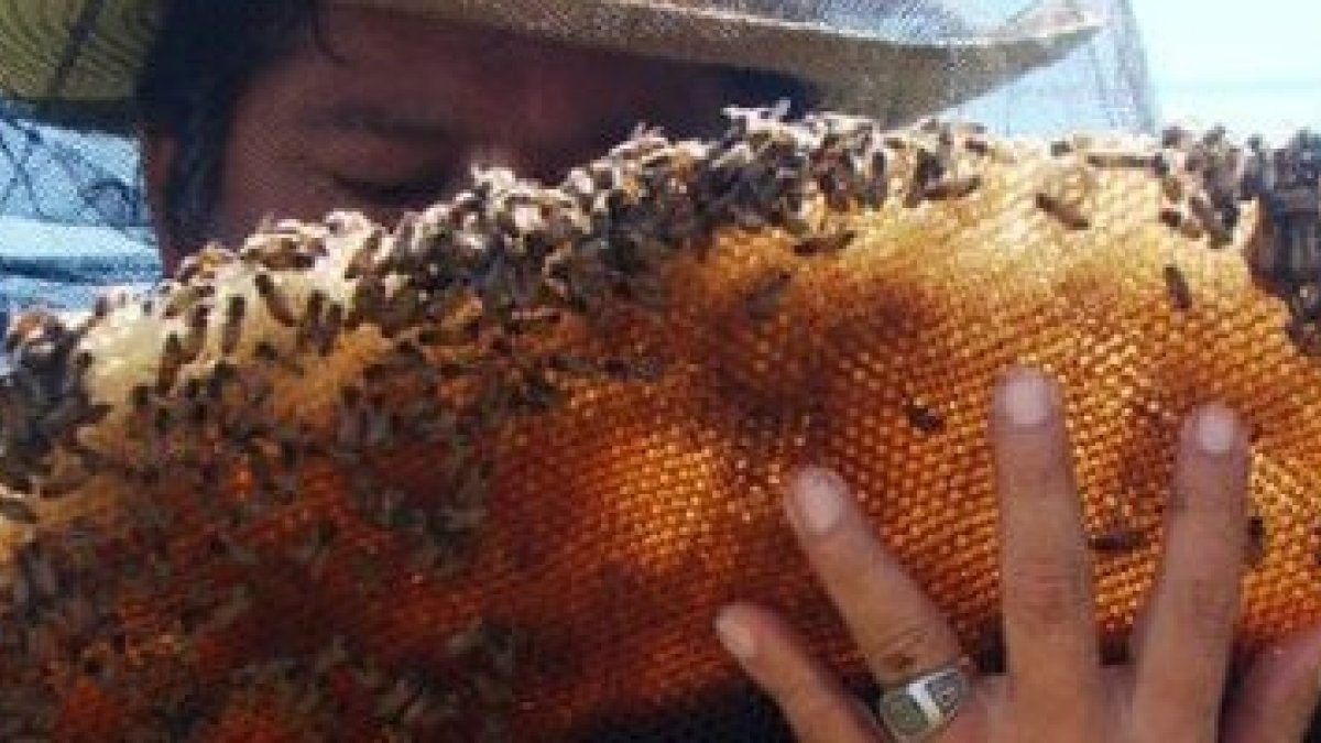 La vida del misionero a veces implica riesgos imprevistos... pero ellos la entregaron mucho antes