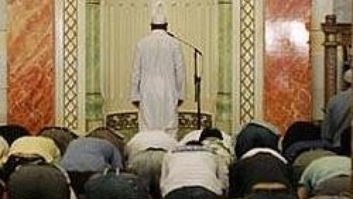 Musulmanes en oración ante el mihrab de una mezquita