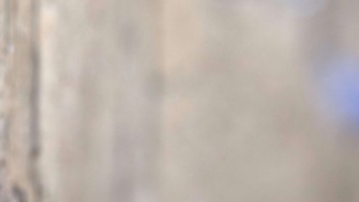 El Papa Francisco en el Muro de las Lamentaciones