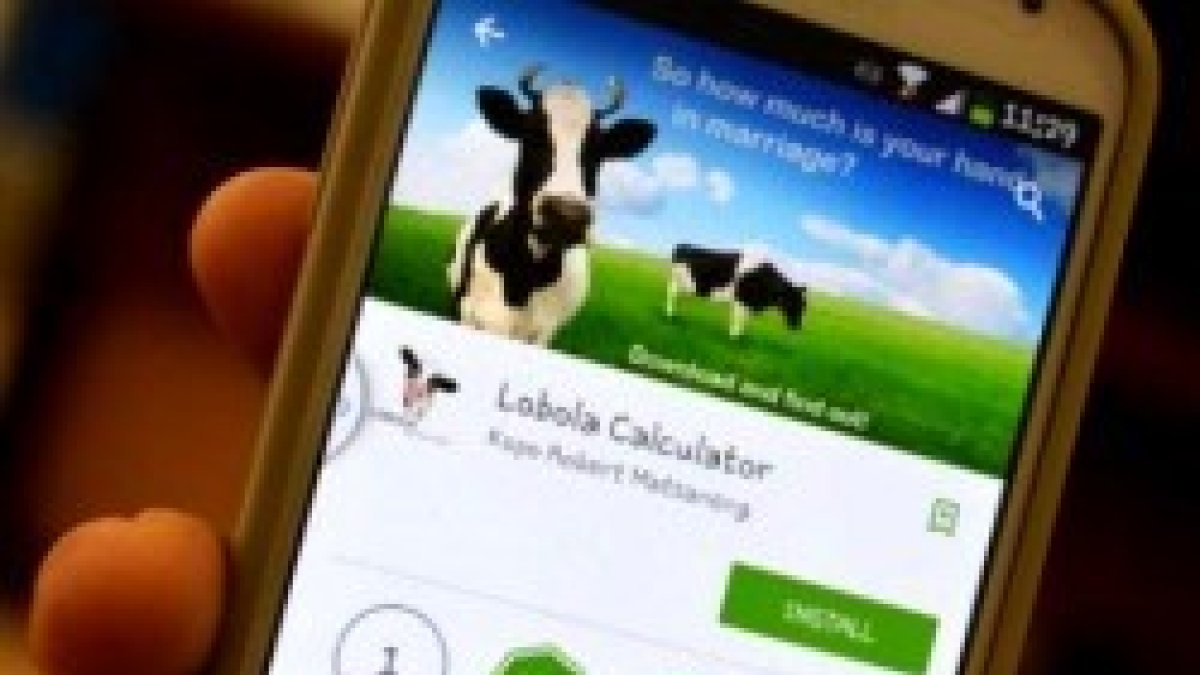 El Lobola Calculator permite también calcular el valor en vacas de un hombre, aunque no sea tradición en África