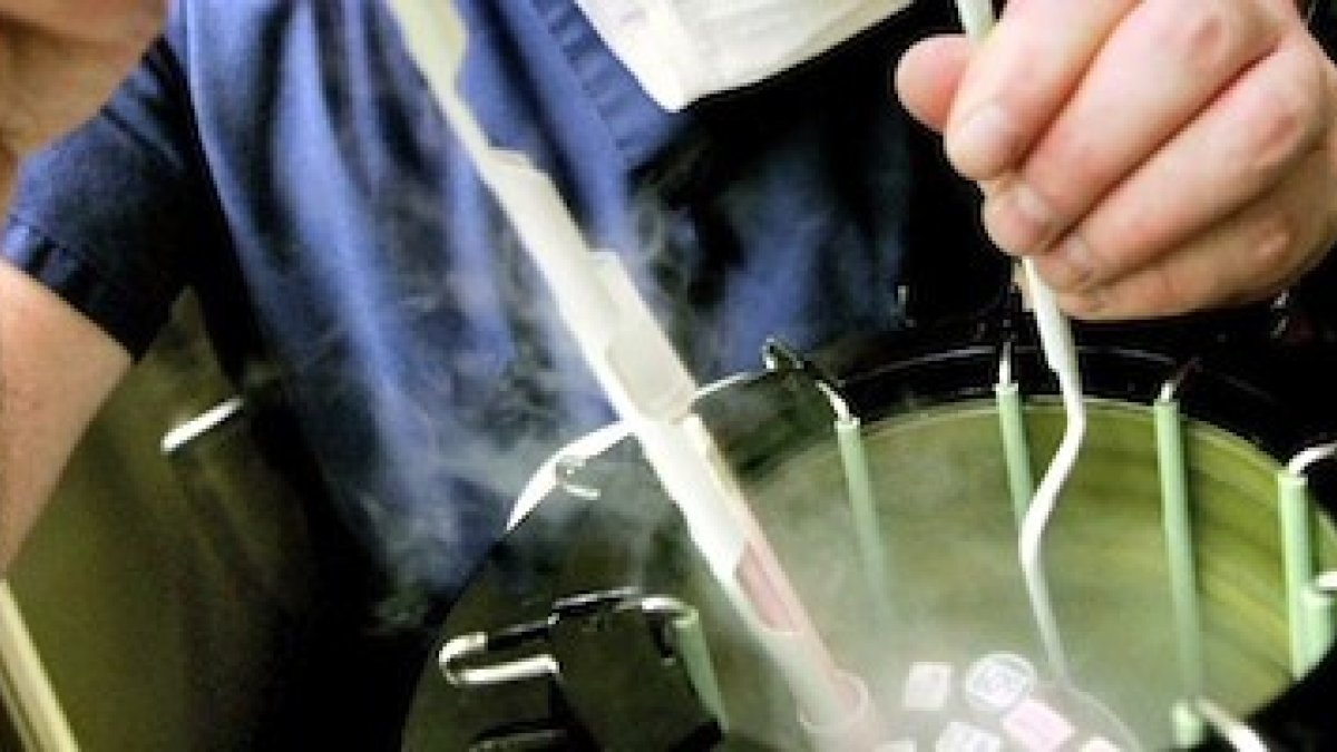 Más de medio millón de seres humanos esperan su destino, congelados y sin desarrollar.