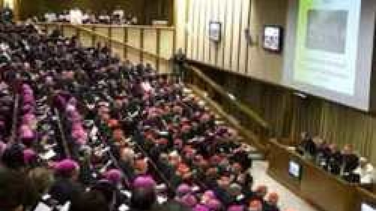 En el Sínodo sobre la familia se plantean situaciones de países y ambientes absolutamente distintos