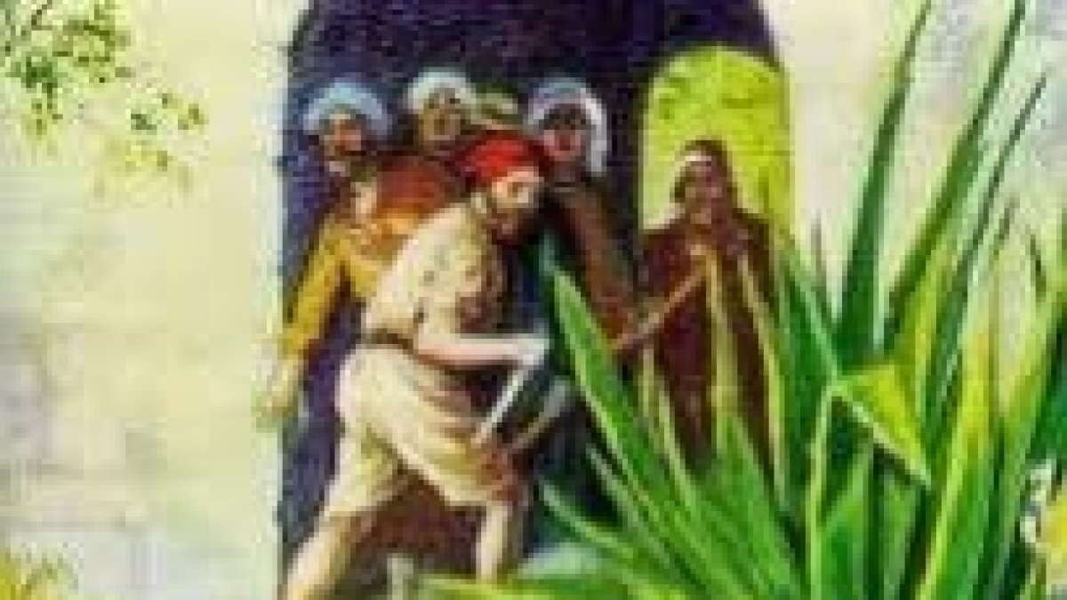 Agarraron al hijo, lo mataron y lo arrojaron fuera de la viña