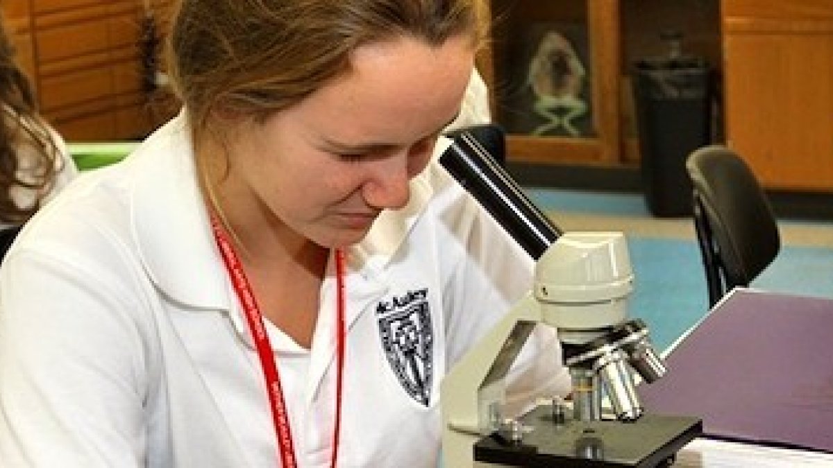 Respaldada por la opinión científica, querida por muchos padres y perfectamente legal, la educación diferenciada sólo encuentra obstáculos en el sectarismo ideológico.