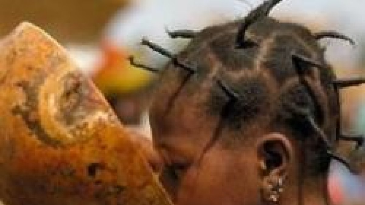 Caritas Internacional y las redes de ayuda católica trabajan en esta campaña mundial contra el hambre