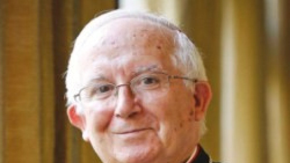 El cardenal Cañizares explica cómo la ecología de Laudato Si trasciende al mundo político