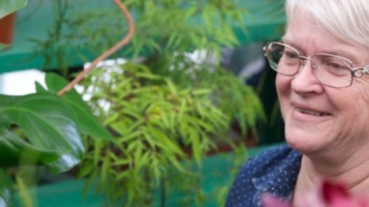 Barronelle Stutzman es la dueña de Arlene Flowers - puede perderlo todo por no adornar para matrimonio gay unas flores - un cliente de muchos años la denunció