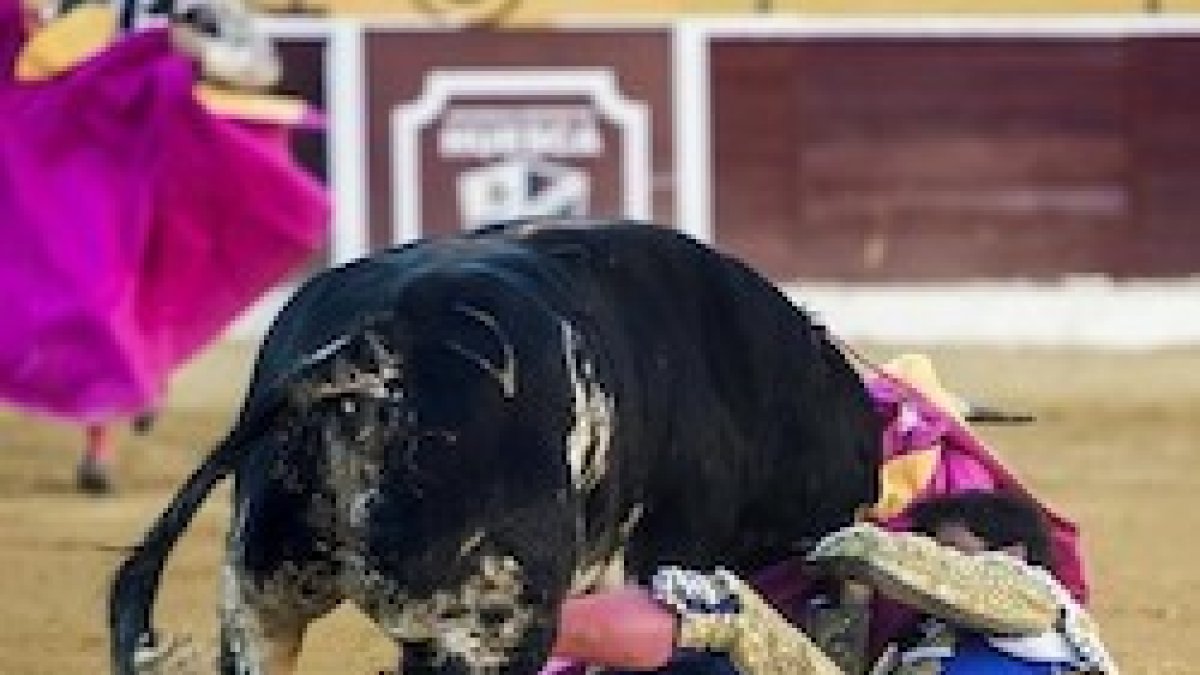 El torero Rivera Ordóñez es corneado en Huesca
