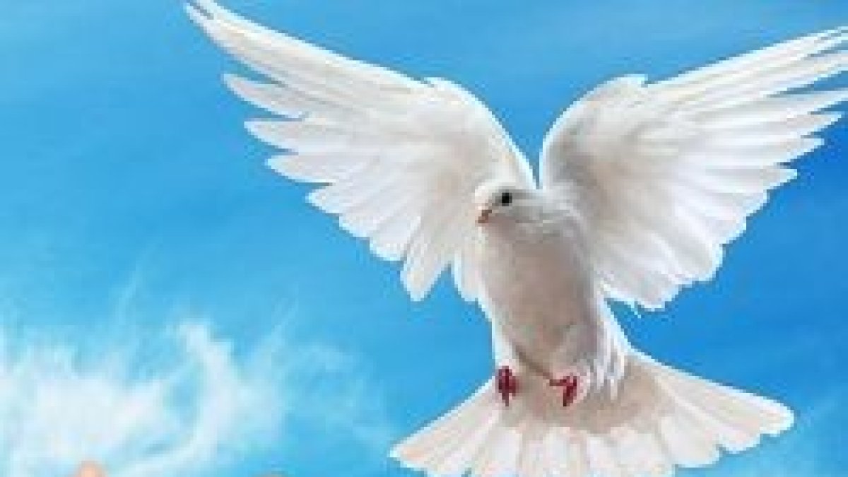 Dios nos ha dado el gran regalo de su Espíritu,