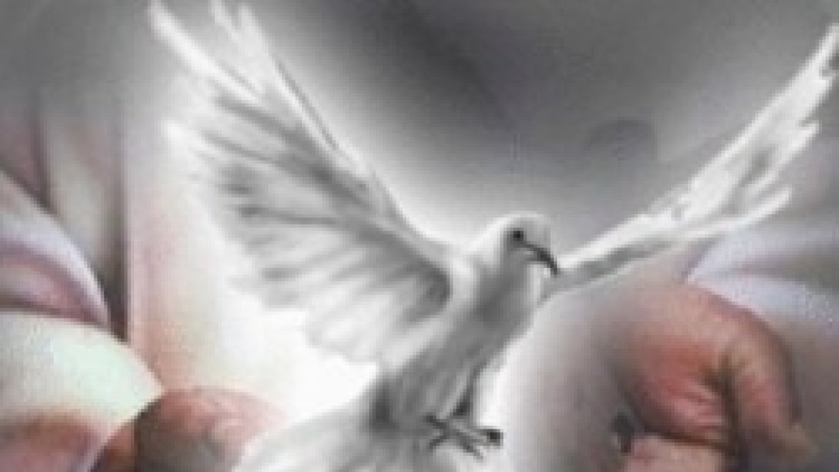 El Espíritu de la verdad, os guiará hasta la verdad plena.