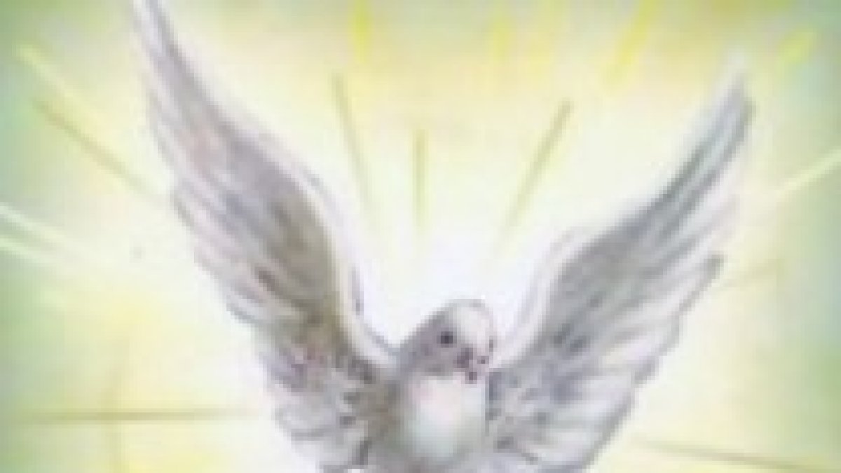 Los dones del espíritu transforman nuestro interior