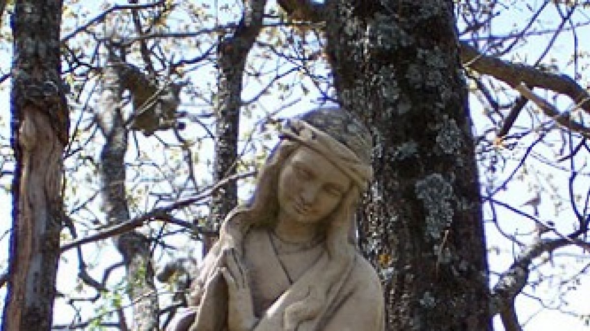 María, madre de misericordia