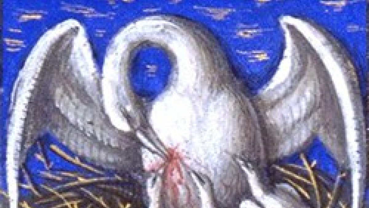 ¿Jesús como un Pelícano? La Iglesia lo representa así desde hace siglos