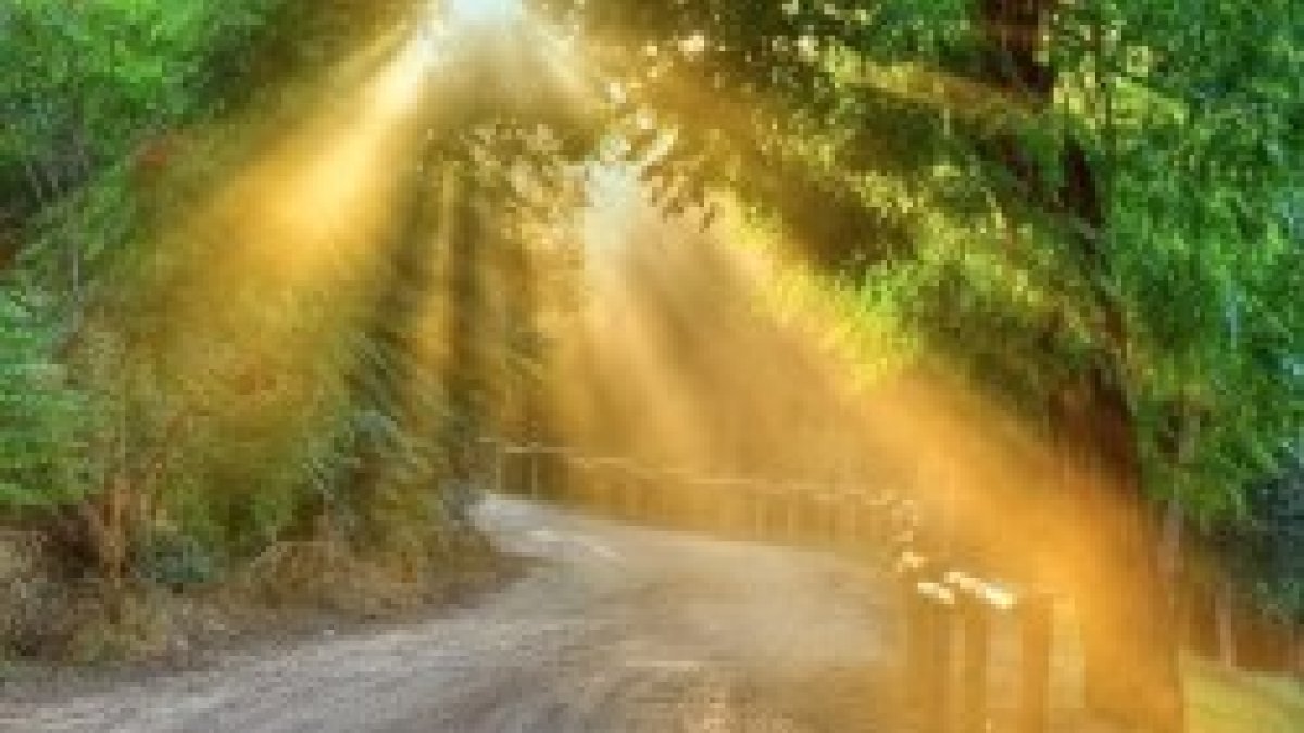 Espiritu Santo, enséñame serenidad