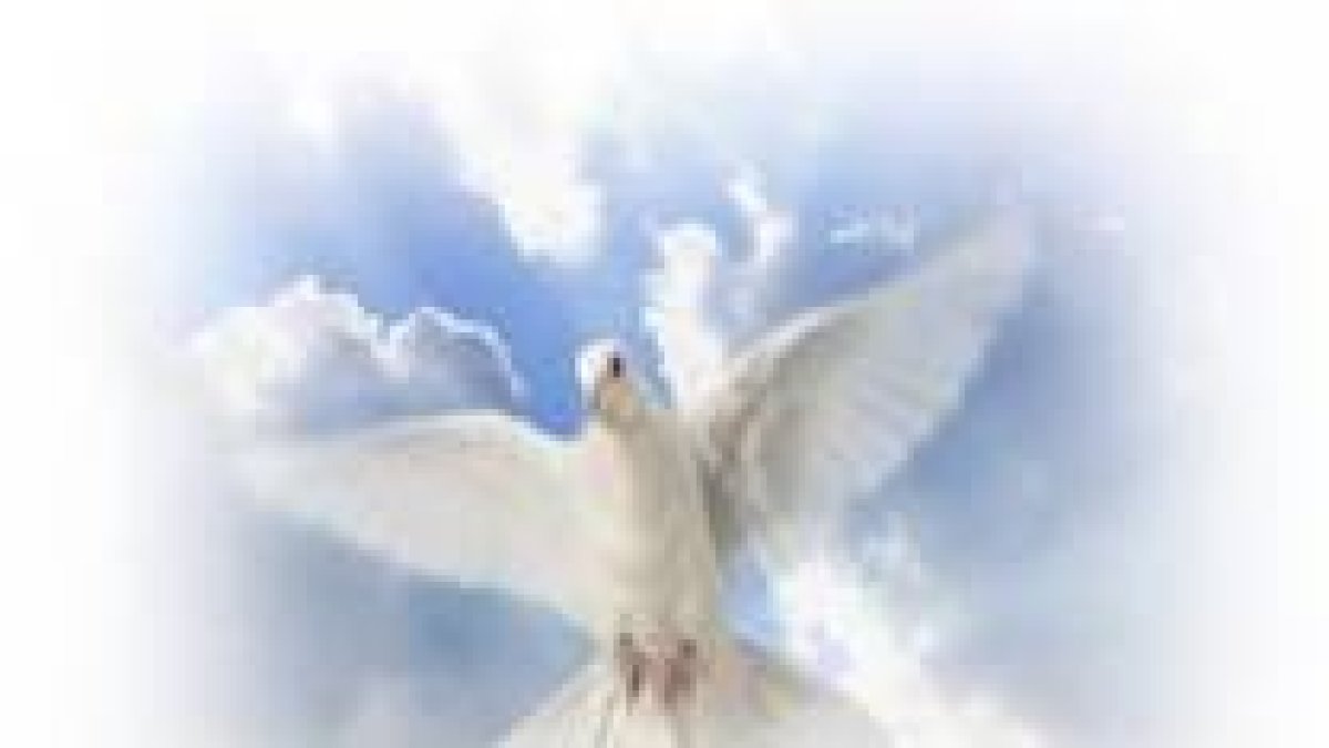 E. Santo, enséñame a comprender la Palabra