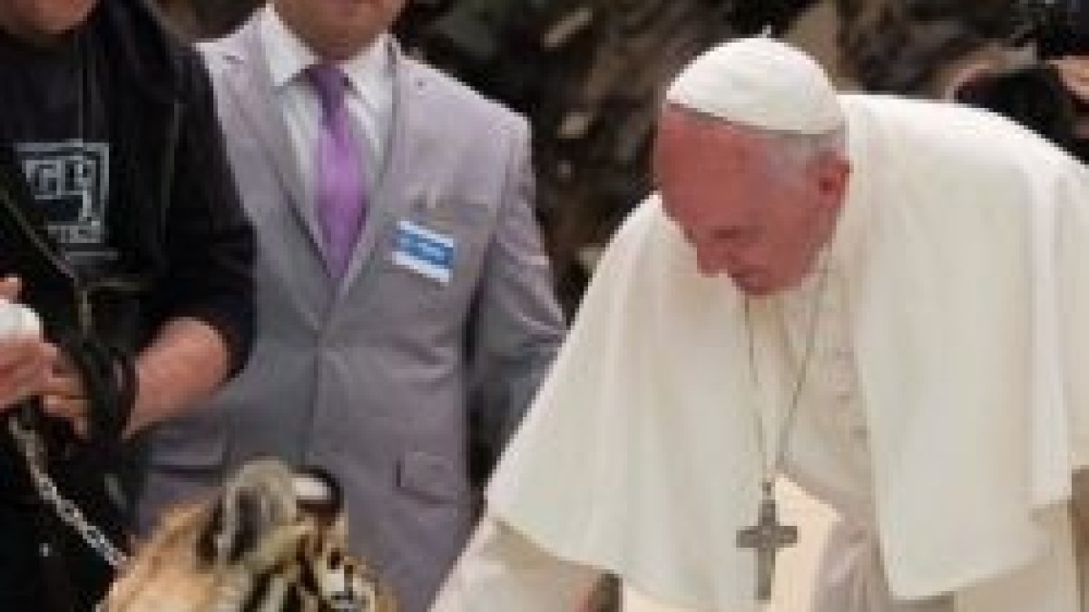 Varios artistas callejeros visitan al Papa Francisco en Roma: acróbatas, músicos, titiriteros y hasta un tigre