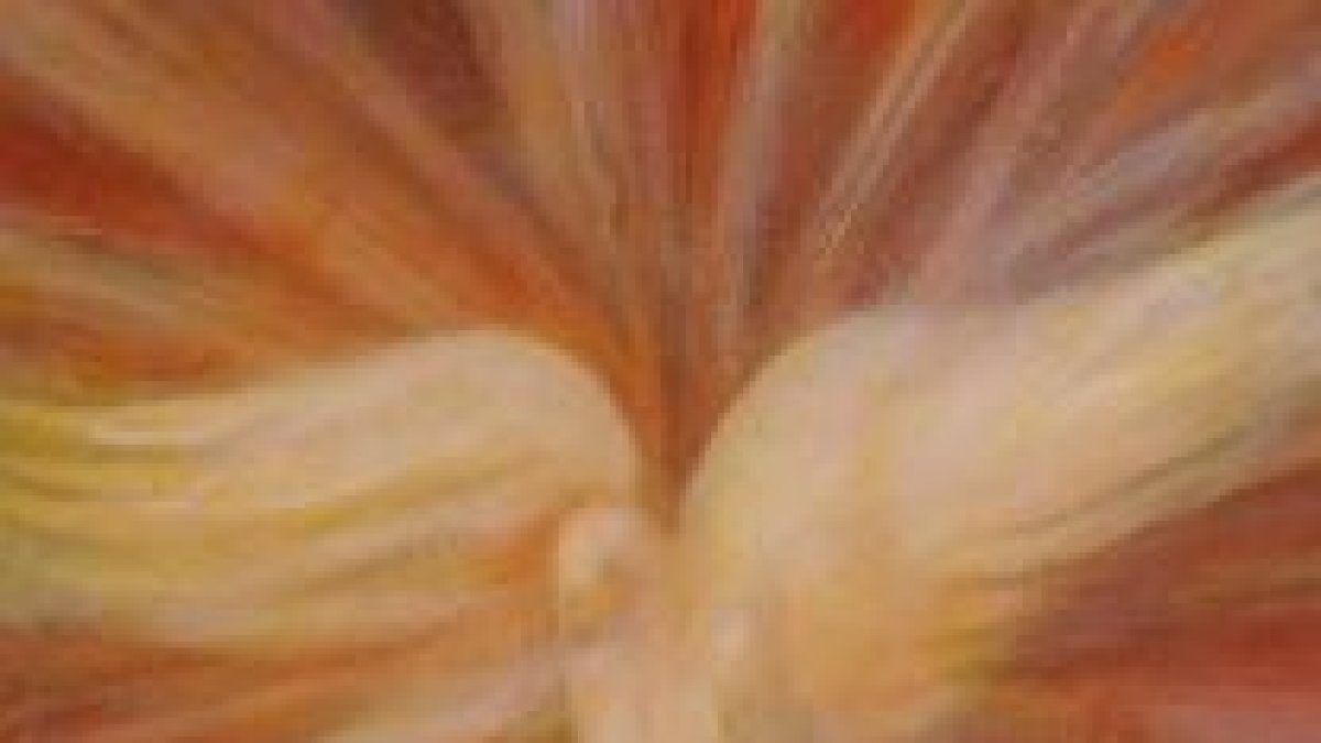 gozo que enjuga las lágrimas, y reconforta en los duelos.