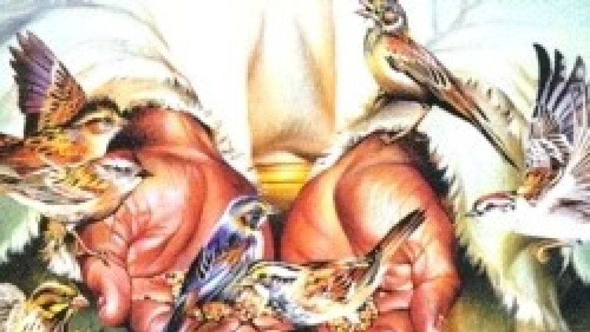 Hasta los pelos de vuestra cabeza están contados