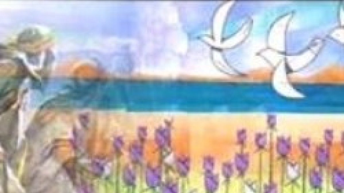 Fijaos cómo crecen los lirios del campo..