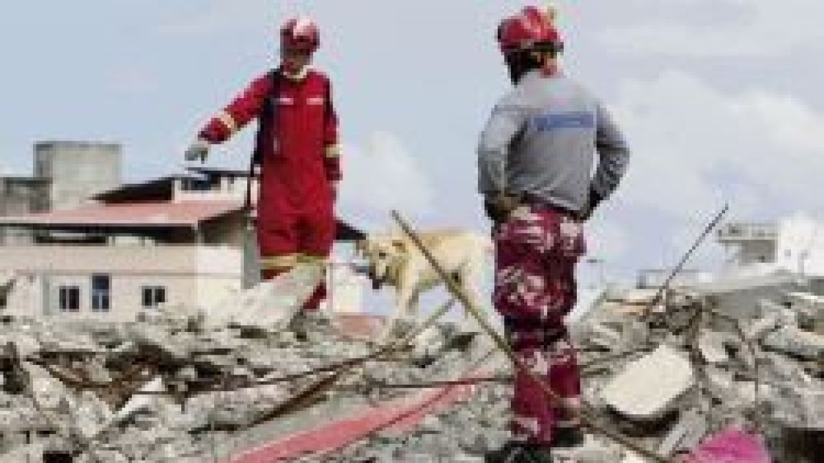 Bomberos y rescatadores con un perro buscan supervivientes entre los cascotes del terremoto de Ecuador