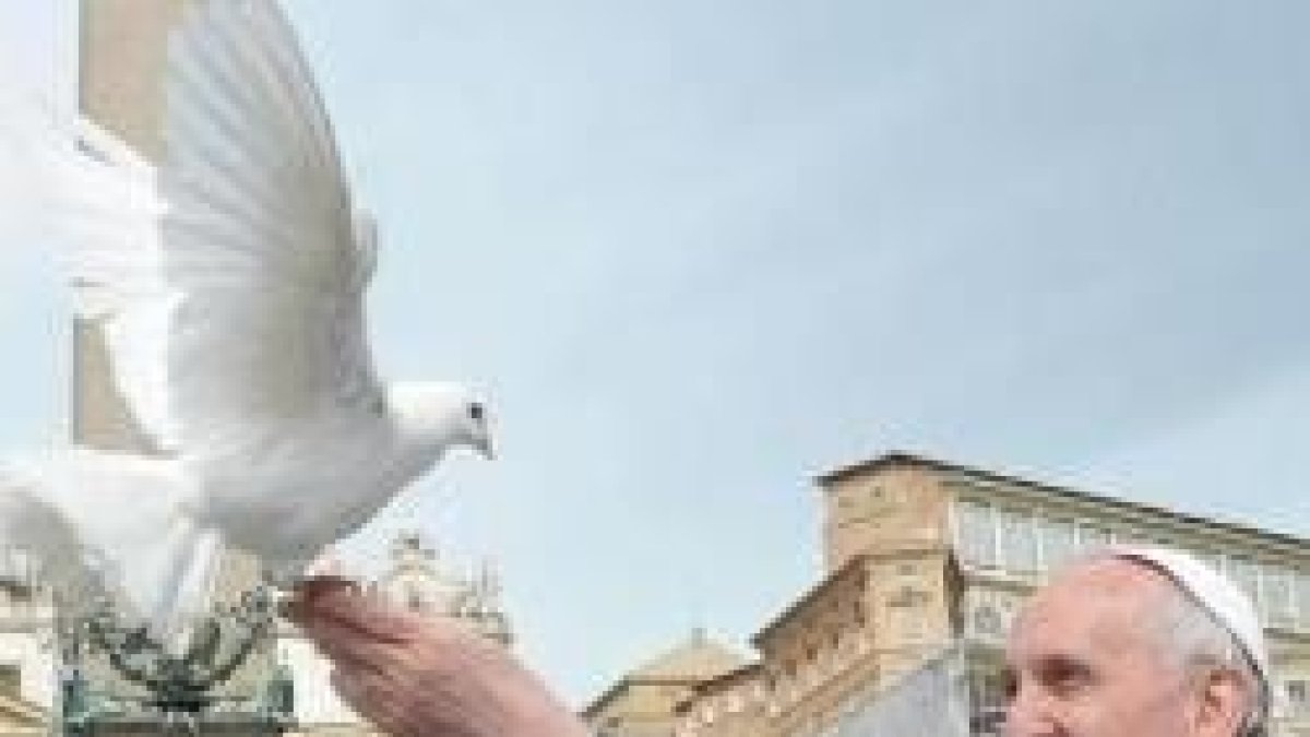 Francisco con una paloma blanca - piensa soltar palomas de la paz en la frontera turco-armenia