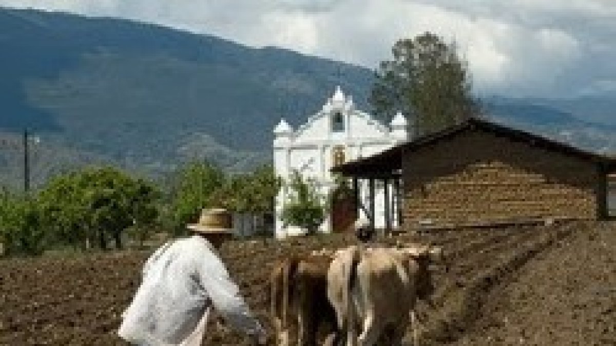 El que echa mano al arado y...