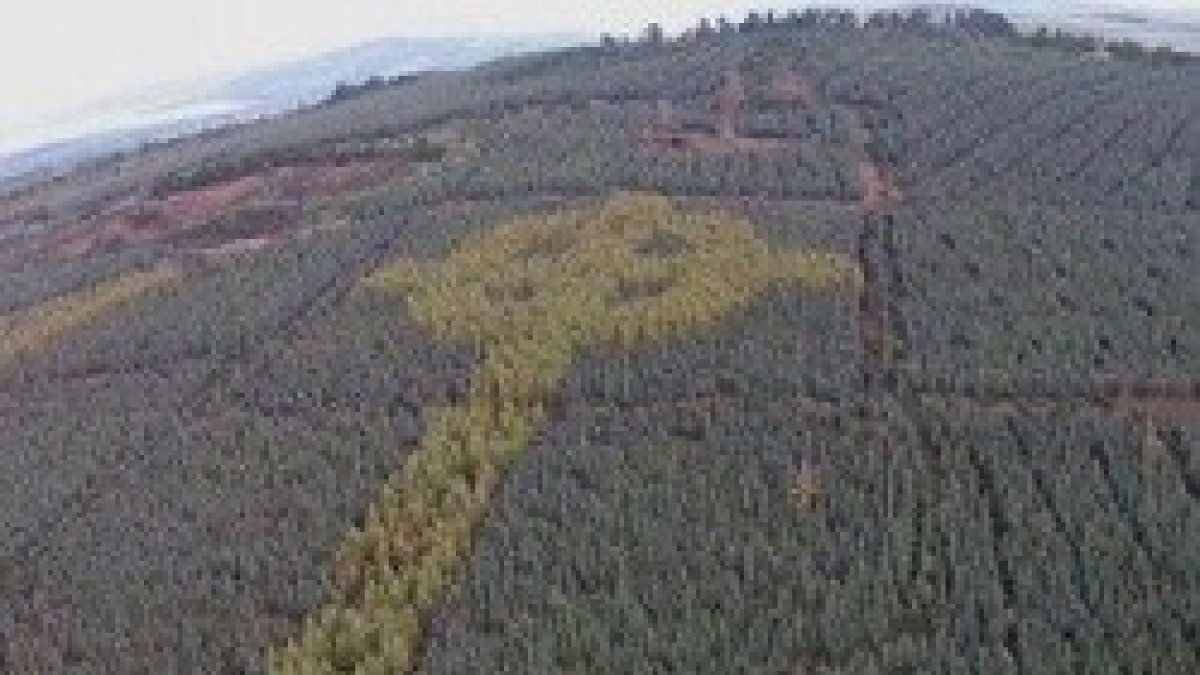 Imagen aérea de la misteriosa cruz céltica hallada en Irlanda