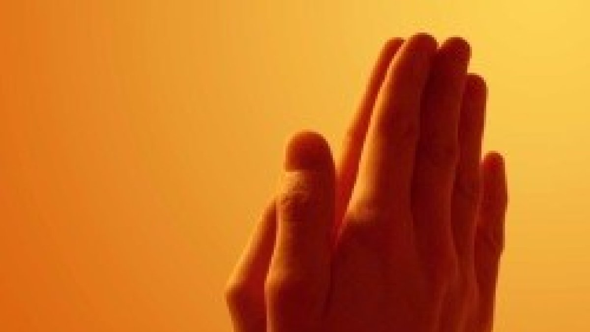 Pedid y se os dará...