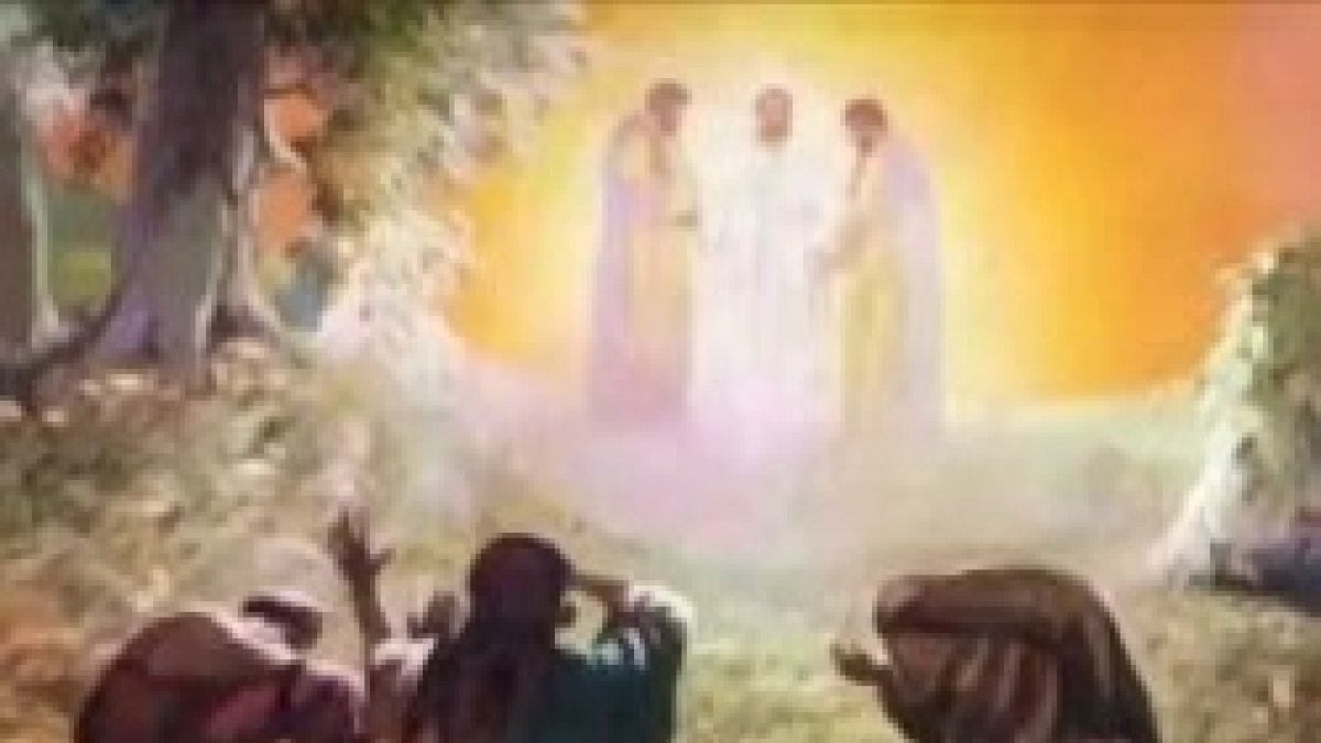 Se transfiguró delante de ellos.