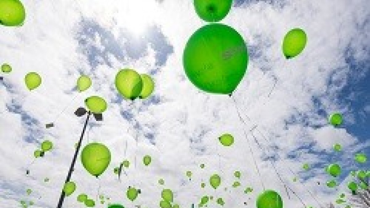 Los grupos provida se han unido para seguir defendiendo al no nacido