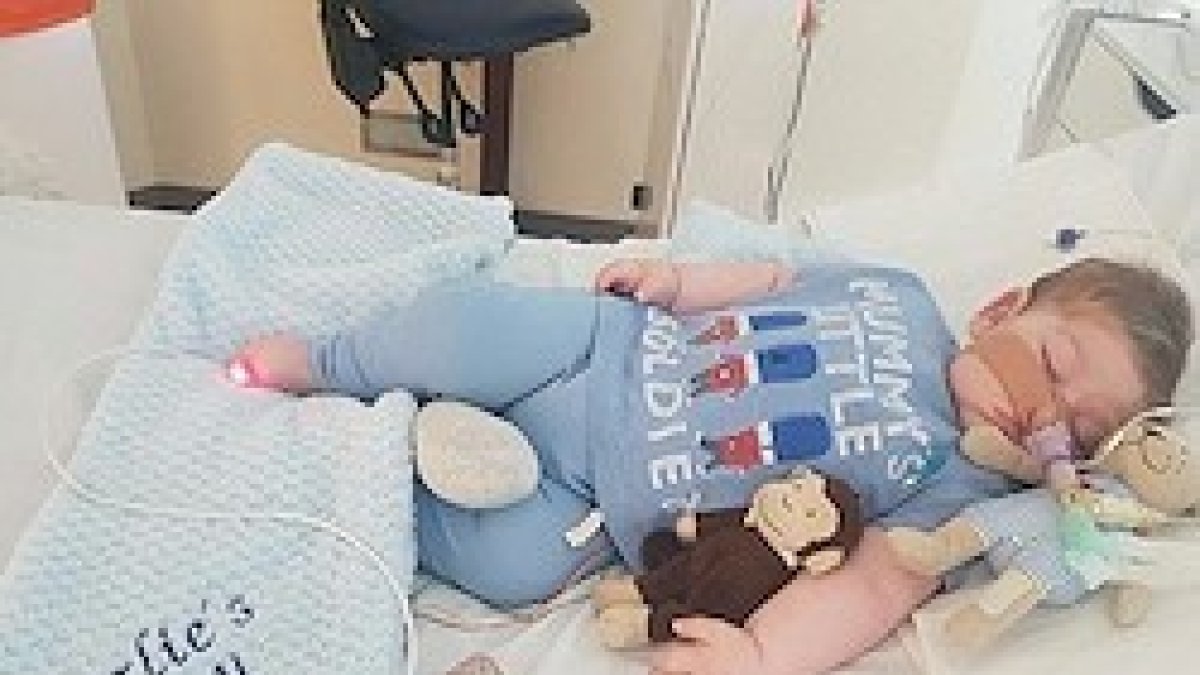 Inesperadamente se ha abierto una posibilidad para evitar la muerte inmediata del pequeño Charlie.