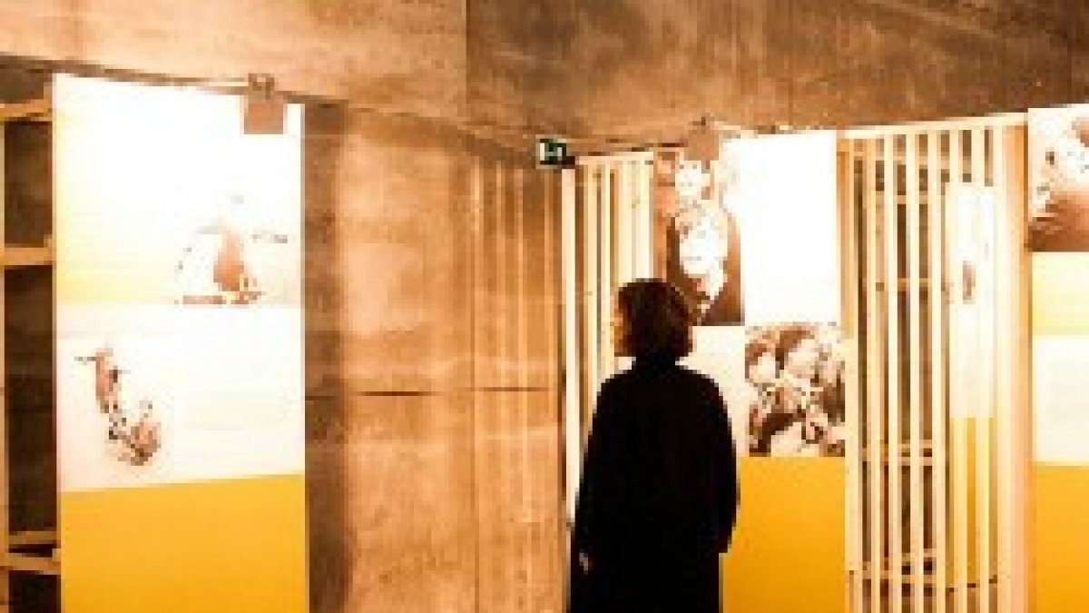 Esta edición se realizará bajo el lema 