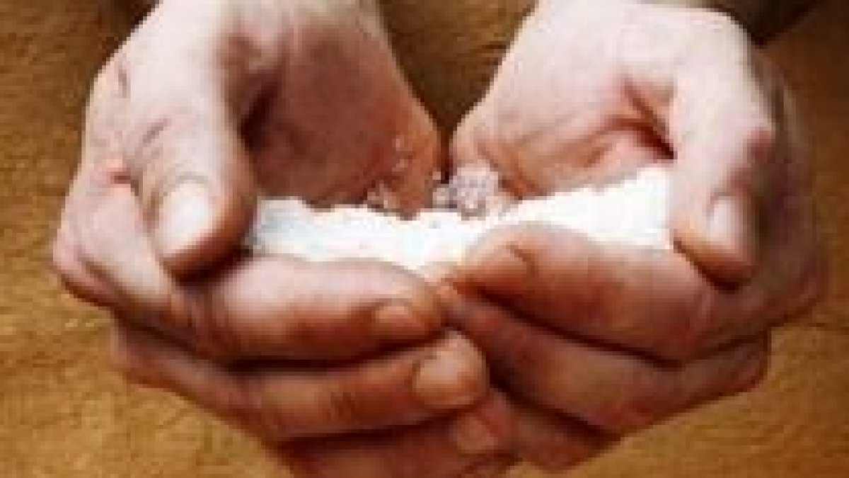 Vosotros sois la sal de la tierra...