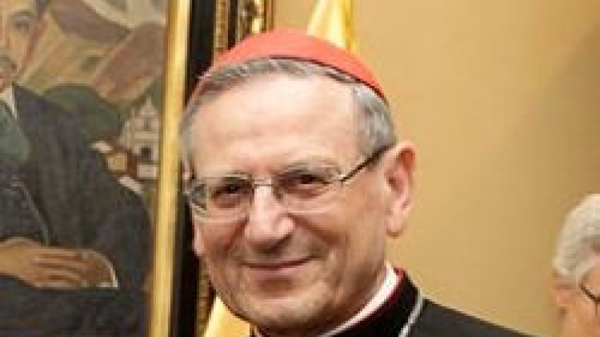 Cardenal Amato