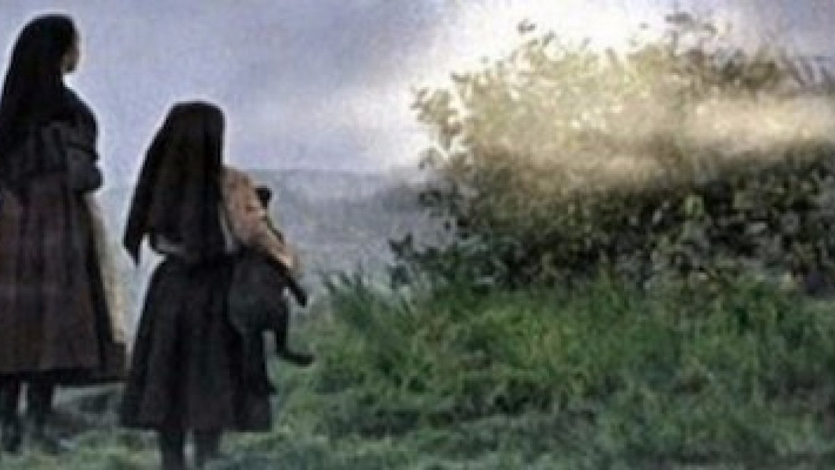 ¿Fue casualidad que la Virgen se apareciese precisamente en lo alto del arbusto de una encina?