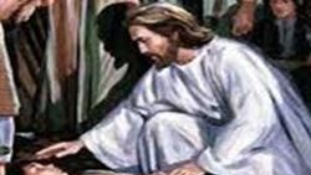 ¿Y por qué no pudimos echarlo nosotros?