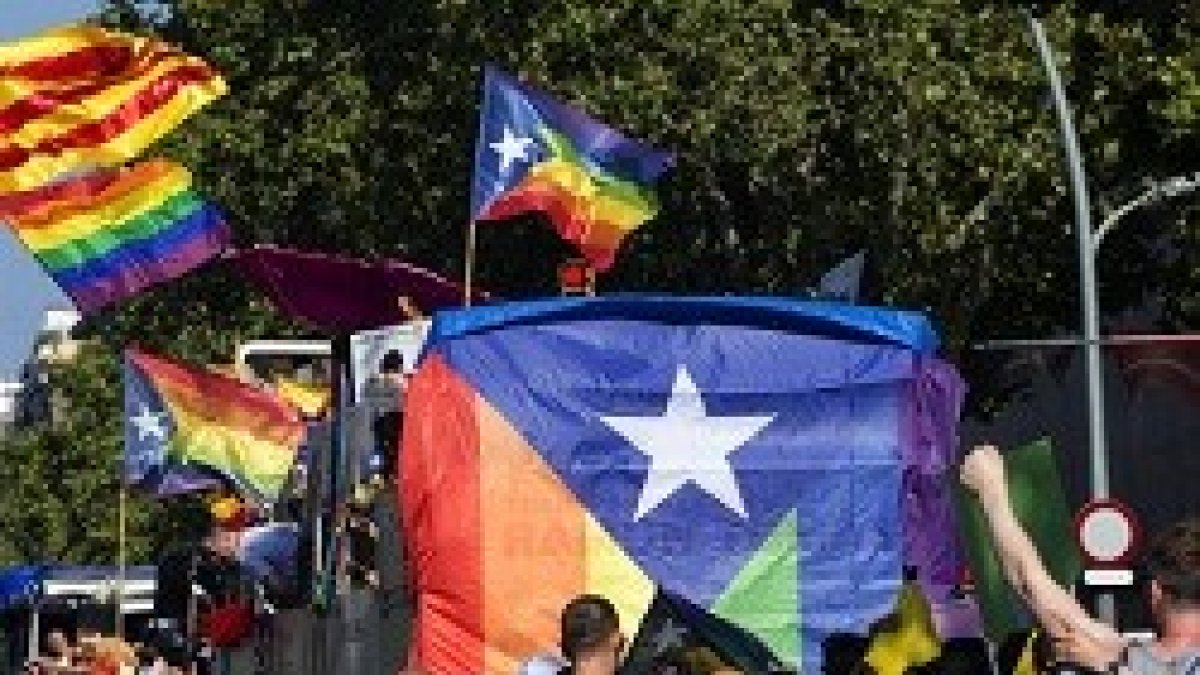 De mantenerse las dos normativas, cualquier colectivo estaría menos protegido que el LGTB