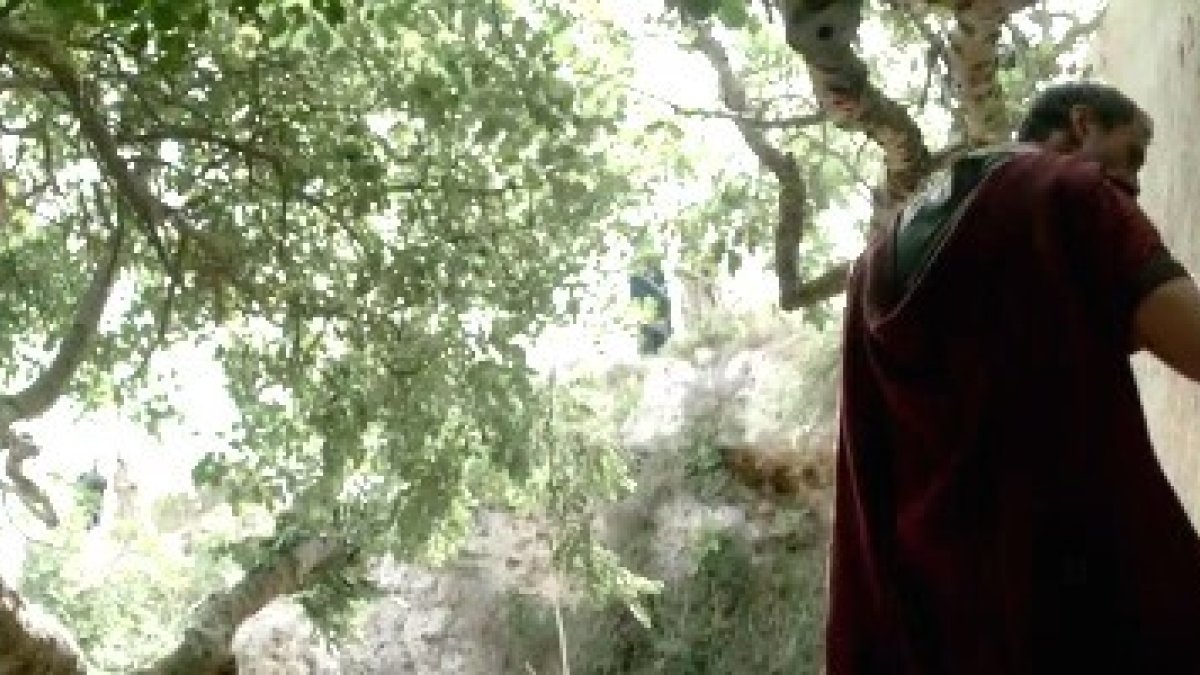 En la película Risen -Resucitado- un inspector romano examina la tumba y busca el cuerpo del Crucificado