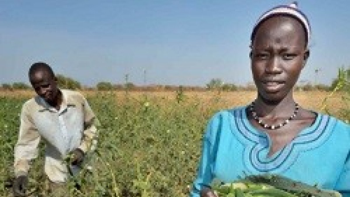 La partida irá destinada a países de cuatro continentes