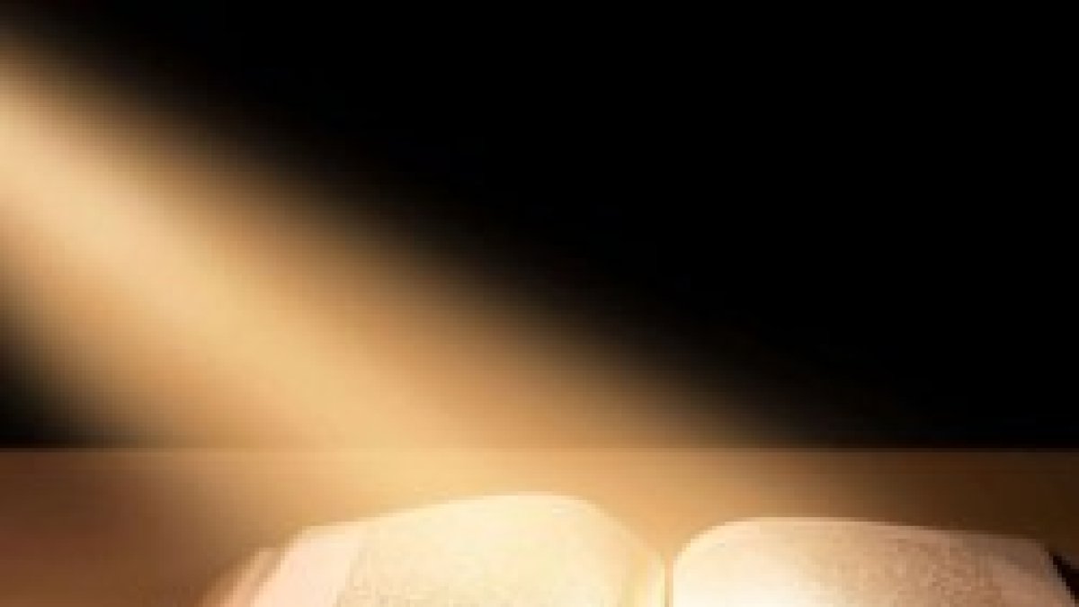 Luz divina, ayudanos a comprender.