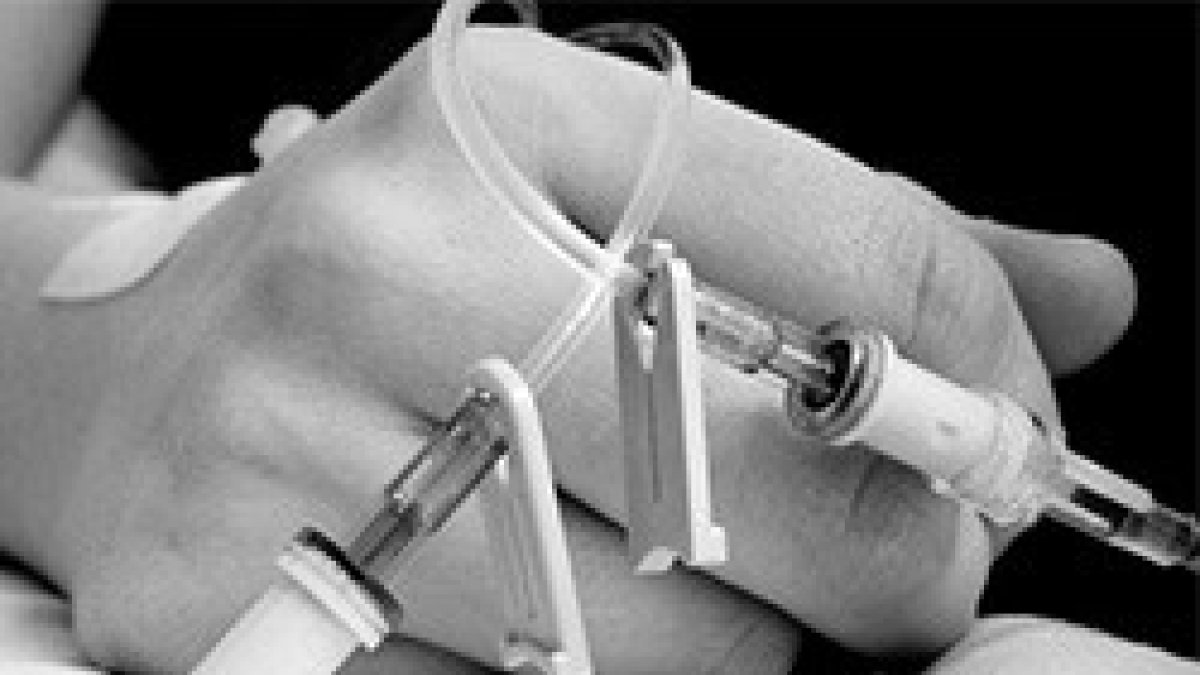 El Foro de la Familia: el PSOE enarbola la eutanasia para ser la izquierda de la izquierda española