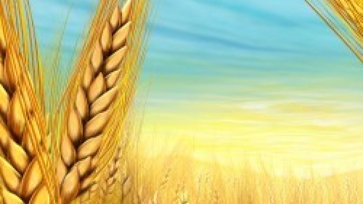 «La mies es abundante...