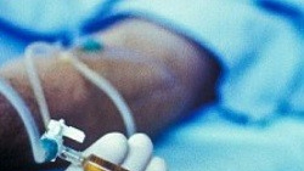 Los obispos destacan las grandes contradicciones del proyecto de ley