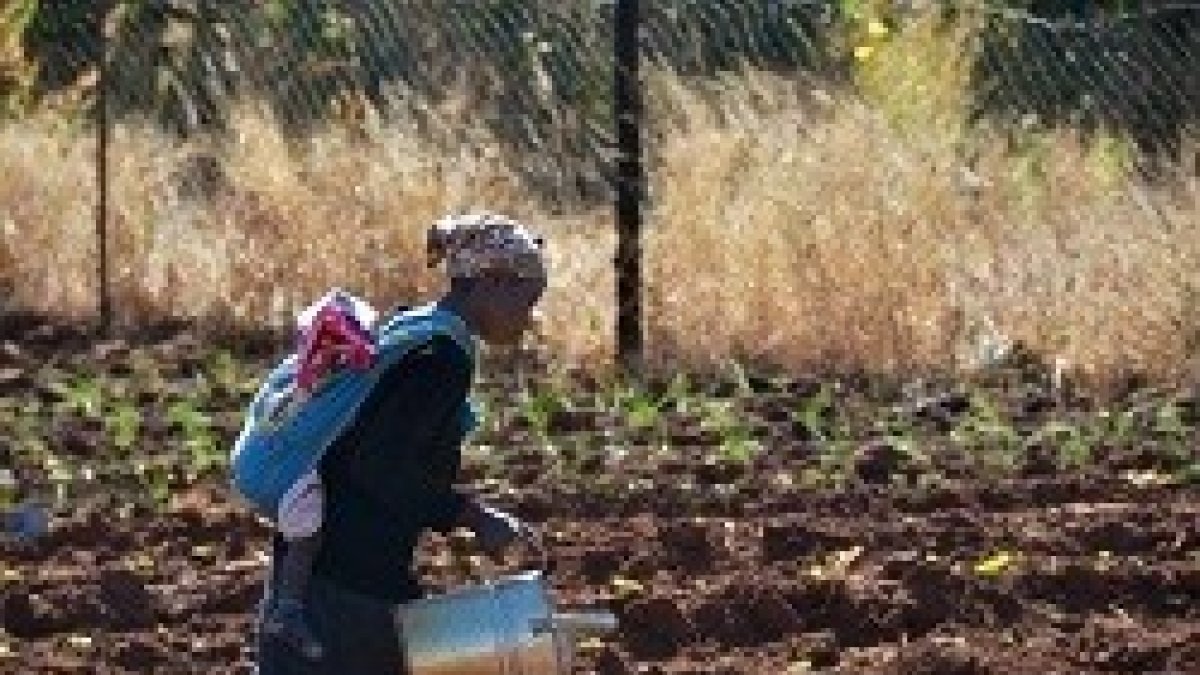 Manos Unidas dedica el 50 de sus esfuerzos al continente africano