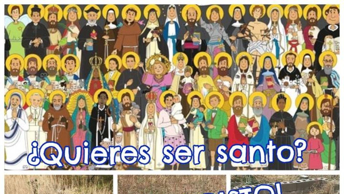 Hoy el reto del amor es que dejes que Cristo entre contigo en la raíz.