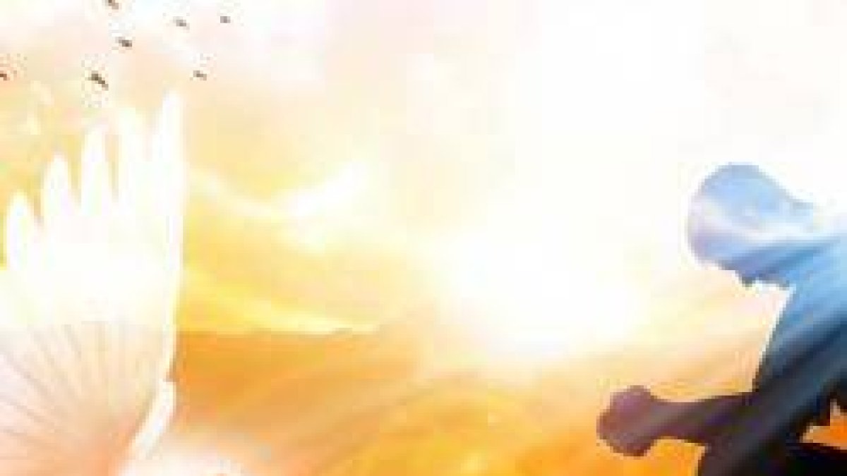 Descubrir su presencia en la hermosura de tu obra