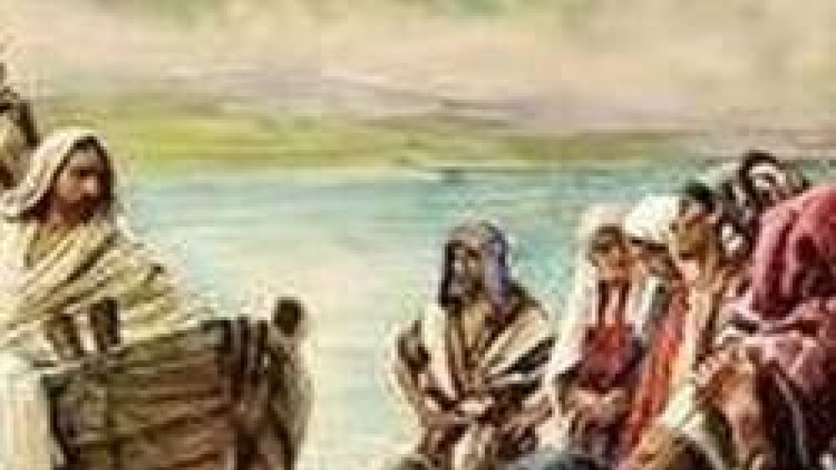 Traed de los peces que acabáis de coger