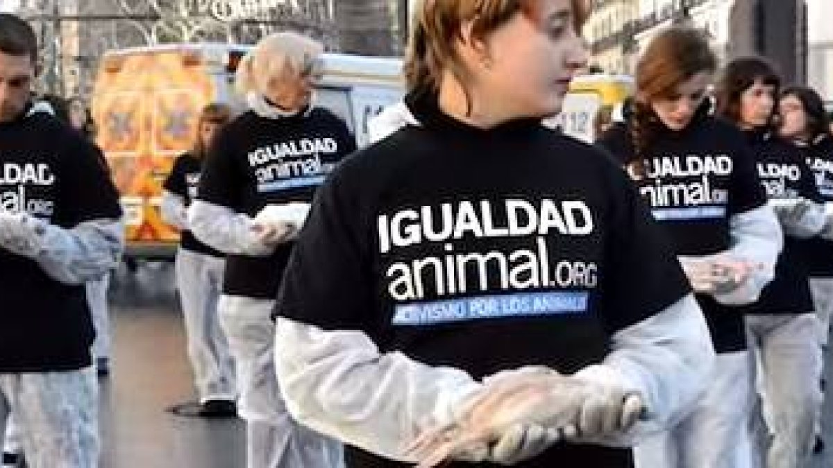 Activistas por la «igualdad animal» muestran cadáveres durante una concentración en Madrid. Fuente: Youtube.