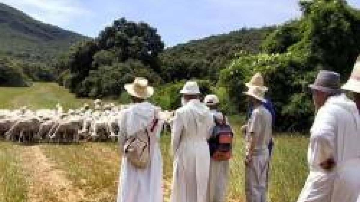 Los hermanos camaldulenses, con hábitos blancos, viven en gran austeridad y cercanía a la naturaleza