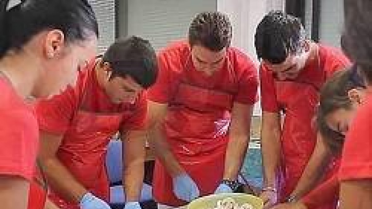 Los programas de empleo de Cáritas han dado trabajo a más de 13.000 personas en España el pasado año